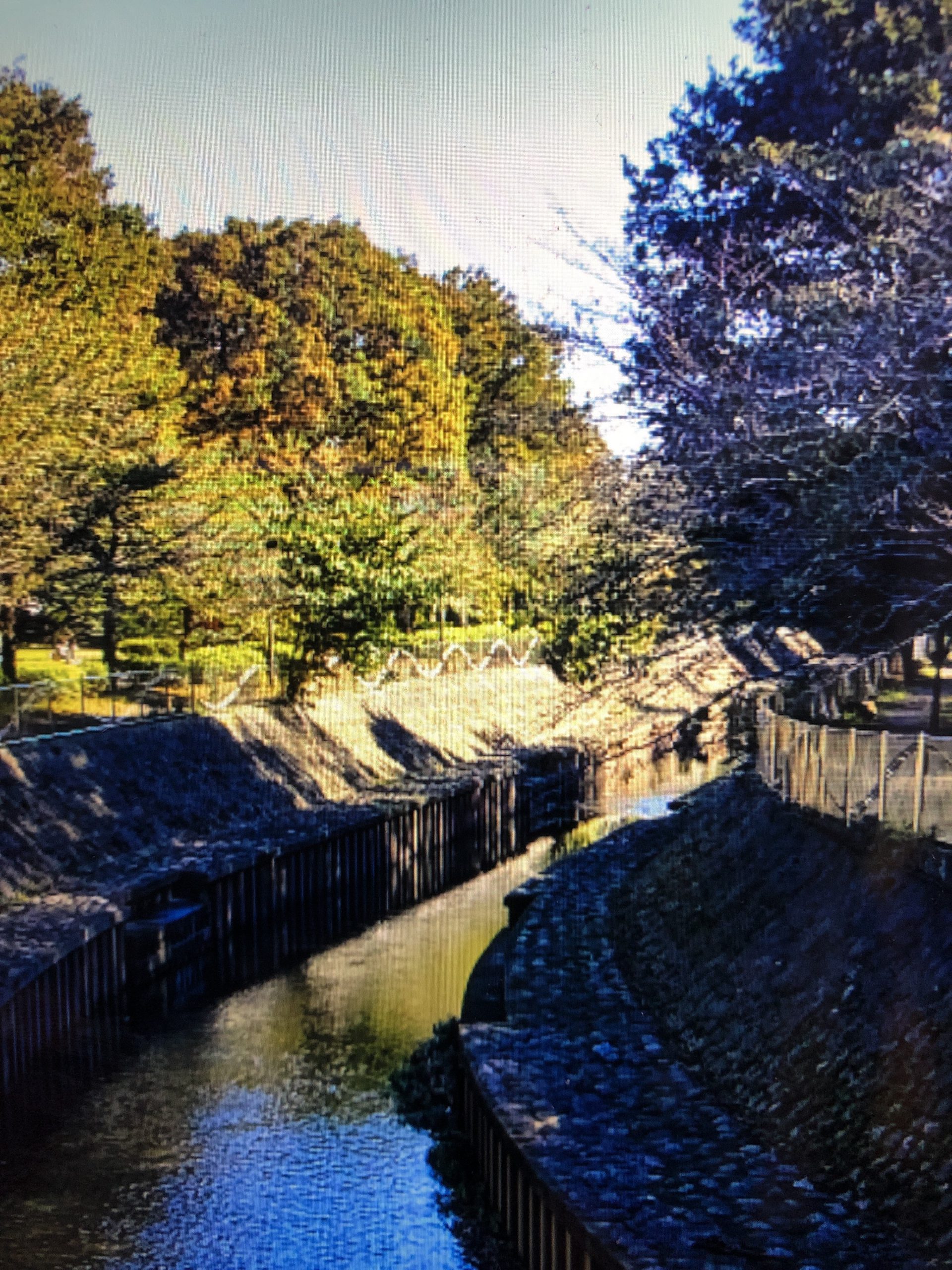 〜善福寺川緑地〜 otobokedeblog